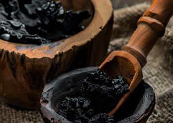 The Ultimate Guide to Shilajit: Benefits, Uses, and How to Avoid Scams